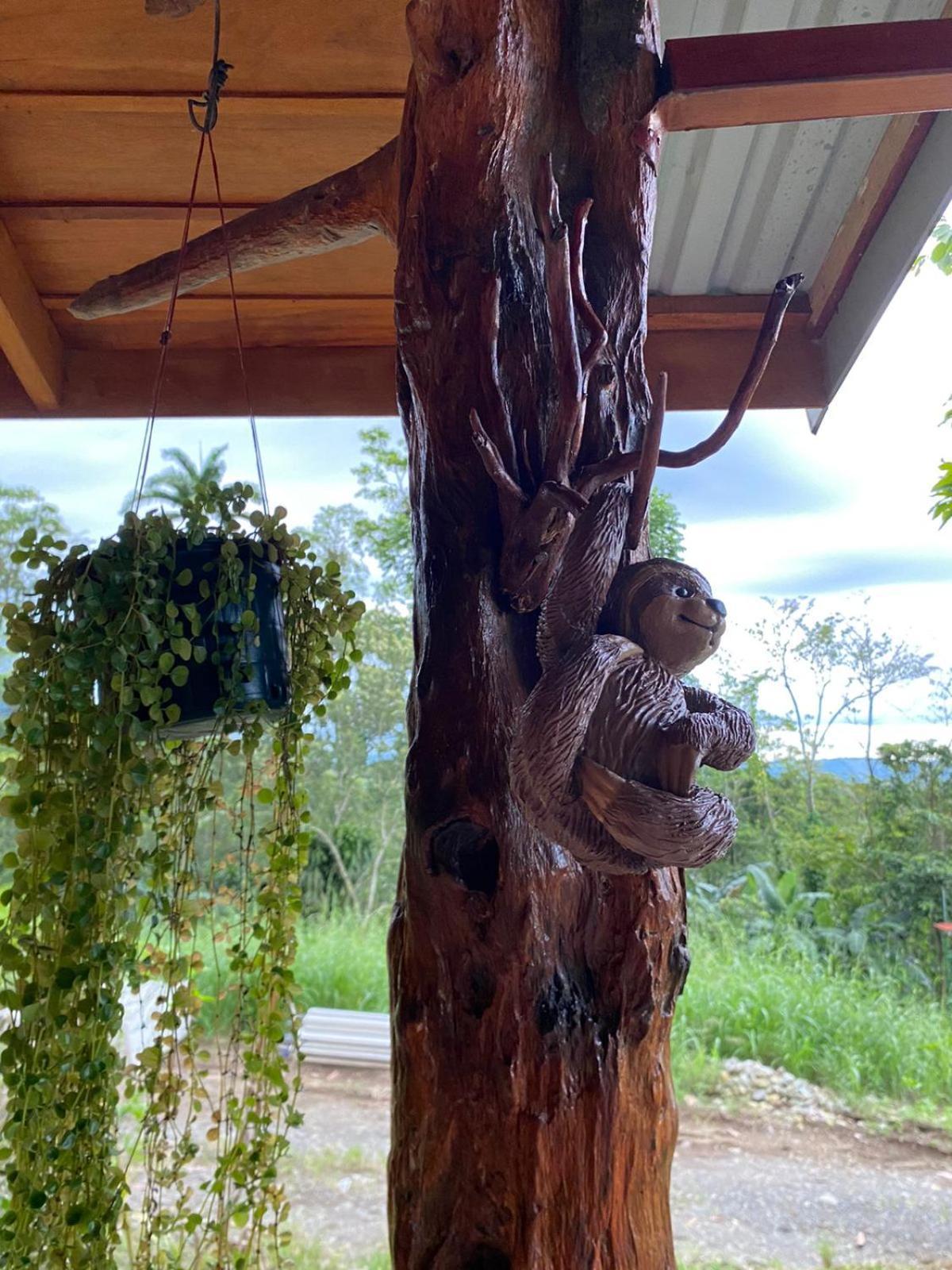 Cabana Itze La Fortuna المظهر الخارجي الصورة