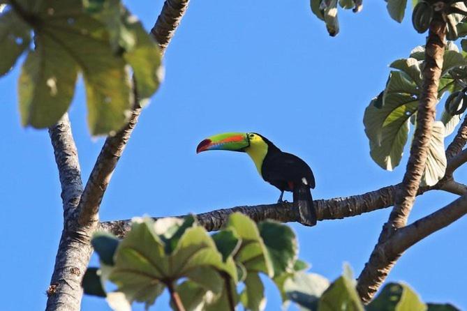 Cabana Itze La Fortuna المظهر الخارجي الصورة